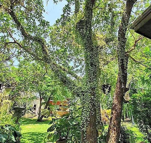 Varee Manust โรงแรม